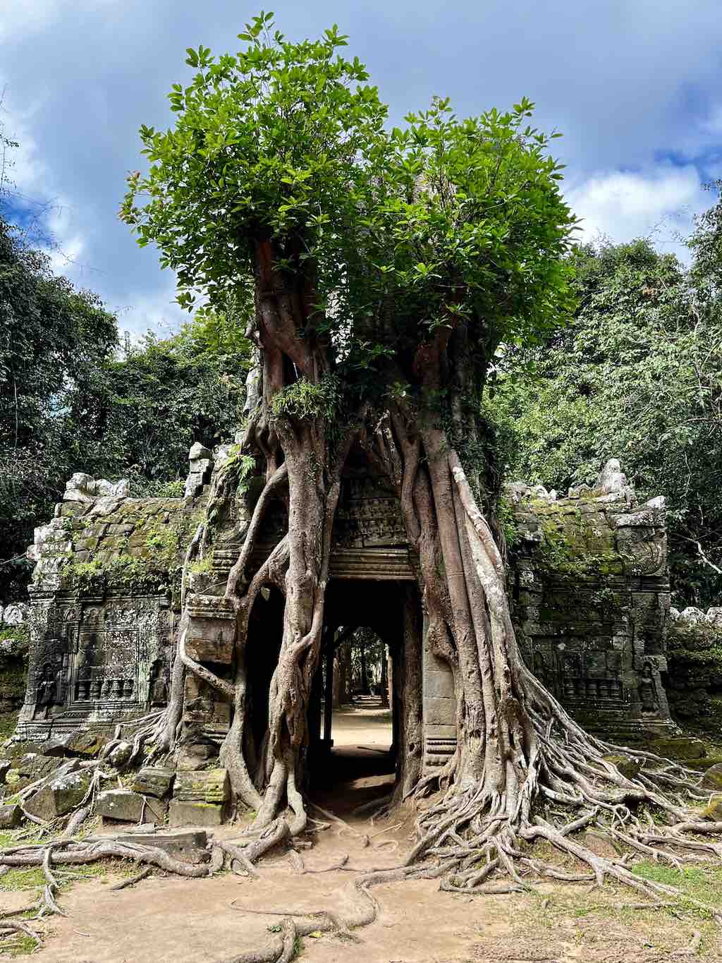 Ta Som Angkor Siem Reap Cambodge