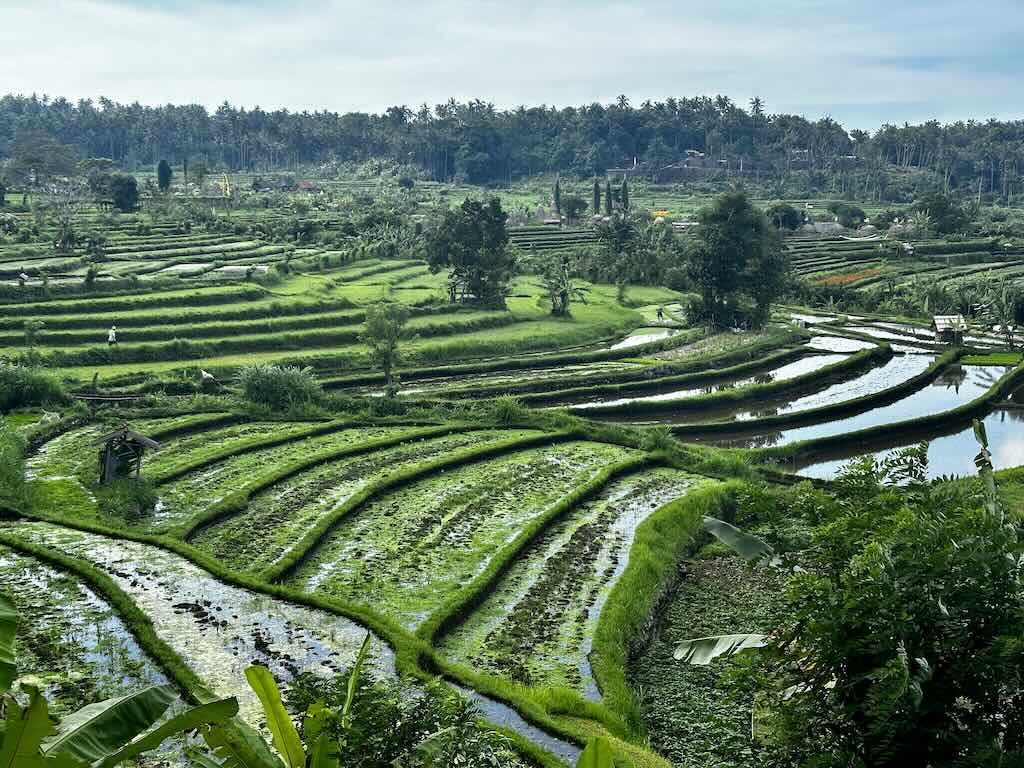 vallee de Maha Gangga Karangasem Bali