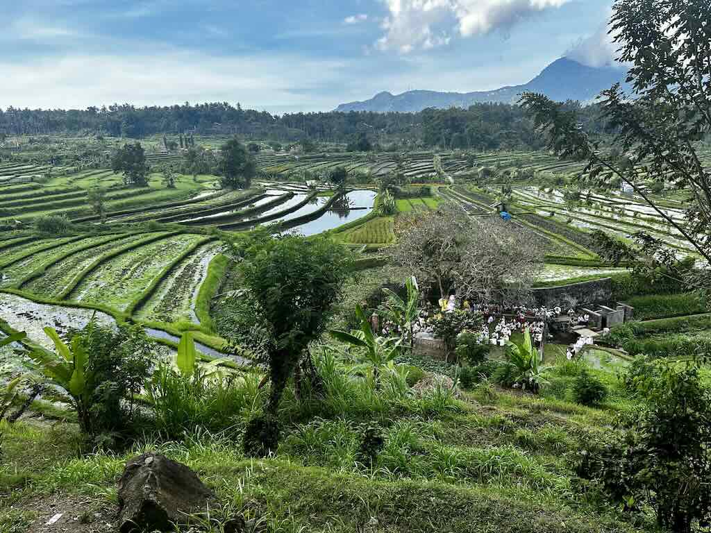 vallée de Maha Gangga Karangasem Bali