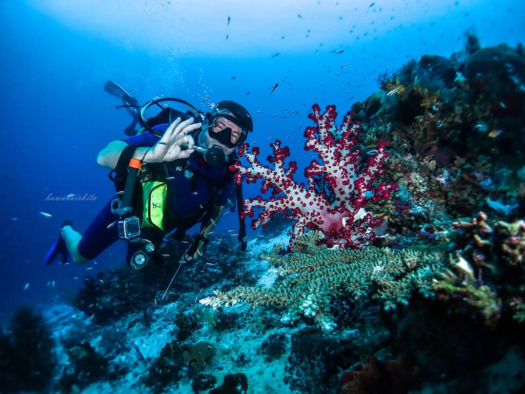 plongée Raja Ampat Indonésie